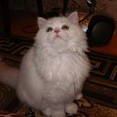 ���� Evgeny, �������-���������, 35 ��� - ��������� 30 ������� 2010 � ������ �������