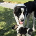 ���� Maryana, ������ - ��������� 9 ������ 2010 � ������ ��������� "������"�