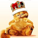 ���� ������ �������, ������ ��������, 44 ���� - ��������� 5 ������� 2013 � ������ ���� ����������