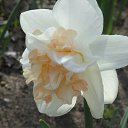 ���� �������, �����, 73 ���� - ��������� 12 ��� 2013 � ������ �������