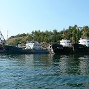 ���� ���������, �������������, 37 ��� - ��������� 17 �������� 2011 � ������ ���� ����������