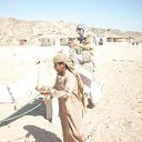 ���� �����, �����-���������, 37 ��� - ��������� 25 ����� 2012 � ������ �������