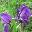  J ***  ,  -  16  2010      