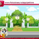  , , 73  -  11  2010   PetLove