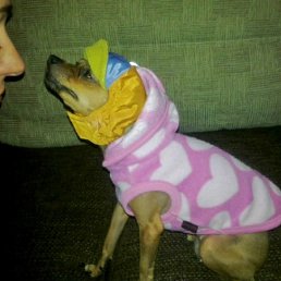 ���� Moya L����, ������, 42 ���� - ��������� 6 ���� 2011