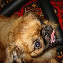 ���� ���������, ��������, 47 ��� - ��������� 28 ������� 2011 � ������ ������