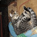 ���� �������, �����-���������, 39 ��� - ��������� 11 �������� 2012 � ������ �������