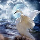  ~~,  -  4  2010   Carol Cavalaris,      .