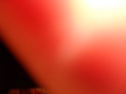 ���� ��������, ������, 56 ��� - ��������� 19 ���� 2011