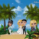 � �� ������� �Tropikania�