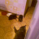 ���� �����, �������� - ��������� 22 ������ 2010 � ������ ���������� ������