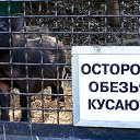 ���, ��� ������ ����� � ���������� ������)))))))