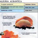 ���� John, �������, 67 ��� - ��������� 5 ������ 2011 � ������ �Pervyj vesennij grib�