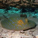 ���� Mr_h, �������, 47 ��� - ��������� 20 �������� 2012 � ������ �������� � ������� ������� �����
