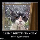 ���� ������, �����������, 53 ���� - ��������� 15 ����� 2013 � ������ ���� ����������