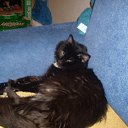 ���� ����, �������, 43 ���� - ��������� 8 ��� 2011 � ������ ���� ����������