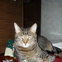 ���� &deg;&bull;*������&deg;&bull;*, ����������, 23 ���� - ��������� 16 ������� 2010 � ������ ���� ��� �����!�