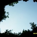 ���� ����, ������������, 55 ��� - ��������� 21 ������� 2011 � ������ �������