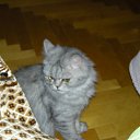 ���� Svetlanas, ���������, 47 ��� - ��������� 7 ���� 2010 � ������ ���� �������