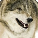 ���� �����, ������ - ��������� 14 ���� 2012 � ������ �������