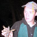 ���� ������, ������-���, 48 ��� - ��������� 12 ���� 2013 � ������ ���� ����������