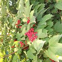  ,  -  22  2012   * ..*