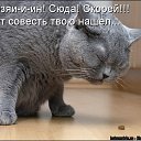 ���� �������, ��������� - ��������� 23 ����� 2012 � ������ ���� ����������