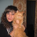 ���� �����, ������������, 49 ��� - ��������� 8 ������� 2011 � ������ ���� ����������