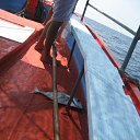 ���� �����, ������, 50 ��� - ��������� 28 ������ 2009 � ������ �������