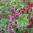 ���� ������, ������������ - ��������� 3 ��� 2012 � ������ ���� ����������