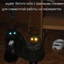 ���� ��������, ������, 45 ��� - ��������� 26 ��� 2010 � ������ ���������