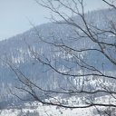 ���� ��������, ������, 43 ���� - ��������� 13 ������ 2013 � ������ ����������