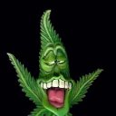  Hjvf, , 56  -  30  2010   