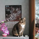 ���� ����, �����, 62 ���� - ��������� 16 �������� 2011 � ������ ���� �������ۻ