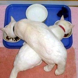 ���, ���������, 25 ���