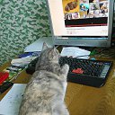 ����� ����������� �� ������� ����� ��� ������������