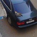 ���� ����, ���, 65 ��� - ��������� 28 ���� 2012 � ������ ���� �����