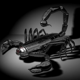 ���� ��������� ��������, ��������, 46 ��� - ��������� 9 ������� 2012