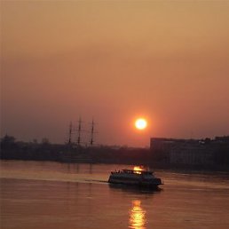 ���� ˸�����, �����-���������, 36 ��� - ��������� 27 ������� 2010