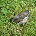 ���� �����, �������������, 25 ��� - ��������� 28 ���� 2013 � ������ ������.�