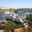 ���� ����, ����������, 29 ��� - ��������� 6 ������ 2009 � ������ �������