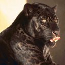 ���� Mcsflash, �������, 38 ��� - ��������� 22 ������� 2010 � ������ �������