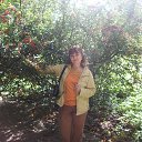 ���� ������, �����������, 67 ��� - ��������� 23 ������ 2012 � ������ ���� ����������