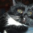 ���� ���������, ������, 52 ���� - ��������� 27 ��� 2012 � ������ �������