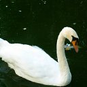 ���� �������, ������� ����, 64 ���� - ��������� 14 ������� 2011 � ������ �����������....�