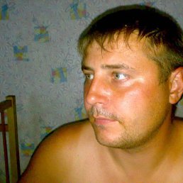 �����, ������, 41 ���