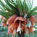 ���� Yiwangna***, ������ - ��������� 14 ��� 2013 � ������ ���������� ����� �������...�