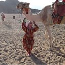 ���� ����., ��� - ��������� 15 ������� 2010 � ������ ���� ����������