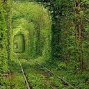 ���� Natig, ����, 60 ��� - ��������� 25 ���� 2013 � ������ ���� ���������