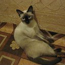 ���� �����, �����, 47 ��� - ��������� 9 ������ 2011 � ������ �������